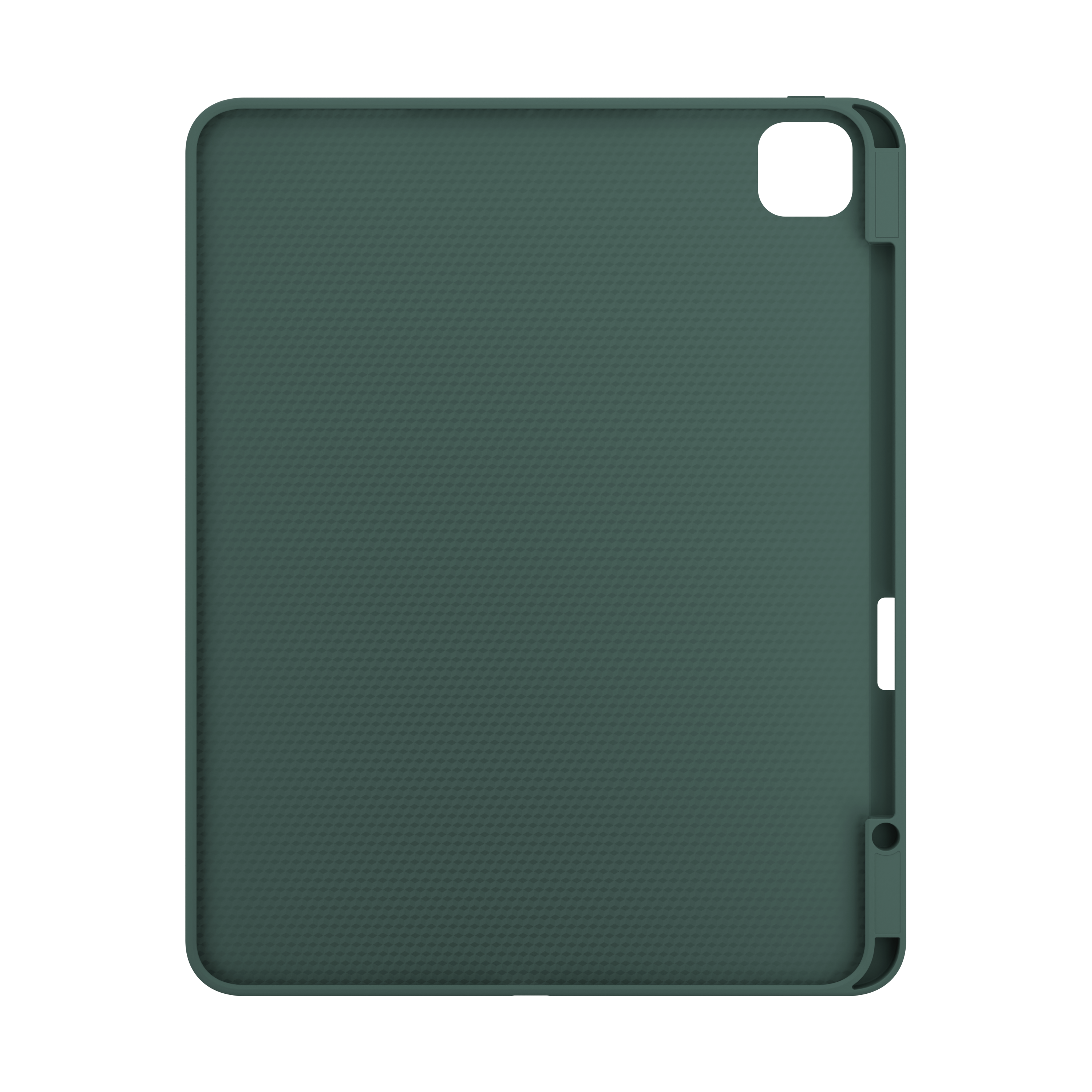 Carcasa Rollcase NOA pentru iPad Pro 13